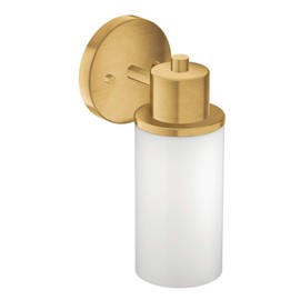 Moen DN0761BG Iso 1-Light Dual-Mount Bath Bathroom Vanity Fixture with Frosted Glass, Brushed Gold