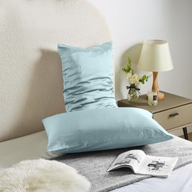 Mulberry Silk Pillowcase - Soft, Breathable, Smooth Both Sided Natural Silk Pillowcase with Zipper - Beauty Sleep Silk Pillow Case 1 Pack for Gift (Queen, Haze Blue)