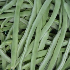 Bean Seeds - Pole - Yellow Bai Bu Lao - 1 Lb ~1600 Seeds - Non-GMO, Heirloom - Asian Garden Vegetable