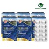 Vital Cube 10 Billion Probiotics Lactobacillus 60 capsules x 6 (12 months) / 바이탈큐브 100억 프로바이오틱스 유산균 60캡슐x6개(12개월)