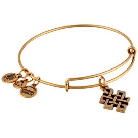 Alex and Ani Endless Knot Bangle Bracelet