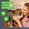 Frontline Plus Flea and Tick Treatment for Cats Over 1.5