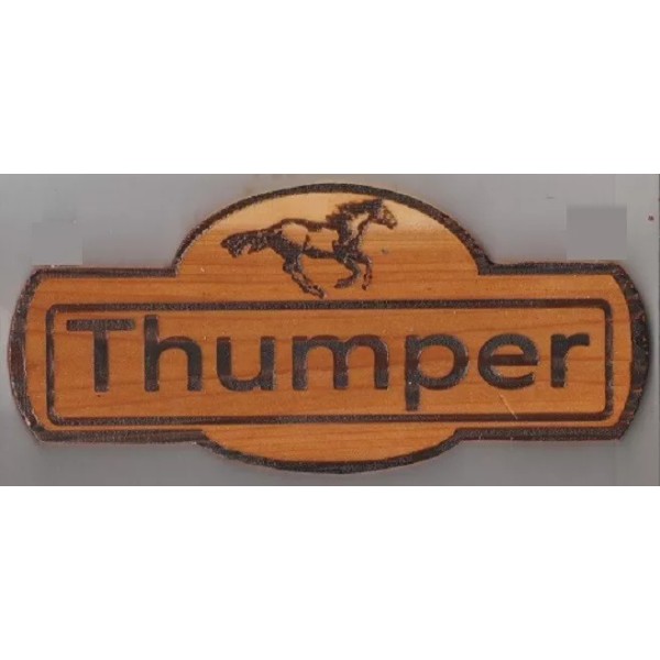 Horse Stall Personalized Name Plates Cedar Approx. 3/4 inch thick..