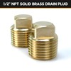 HAPDEN Boat Plugs 1/2 Inch Npt Solid Brass Boat Drain