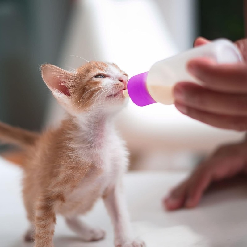 Cozioz 12-Piece Pet Feeding Bottle Kit: Essential Kitten and Puppy
