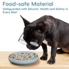 AXEFUN Silicone Slow Feeder Dog Bowl – Sky Blue Bone