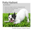 Vet Worthy Pet Potty Hydrant for Dogs