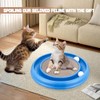 Peomliee Cat Track Balls Replacement Track Balls for Turbo Round