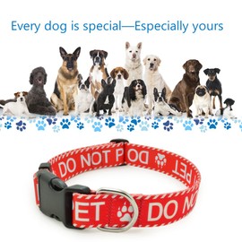 DWOOFG Dog Collar for DO NOT PET, Sturdy Durable with Buckle, Red Dog Collars for Small Medium Large Dogs, Premium Adjustable Polyester Pet Collar