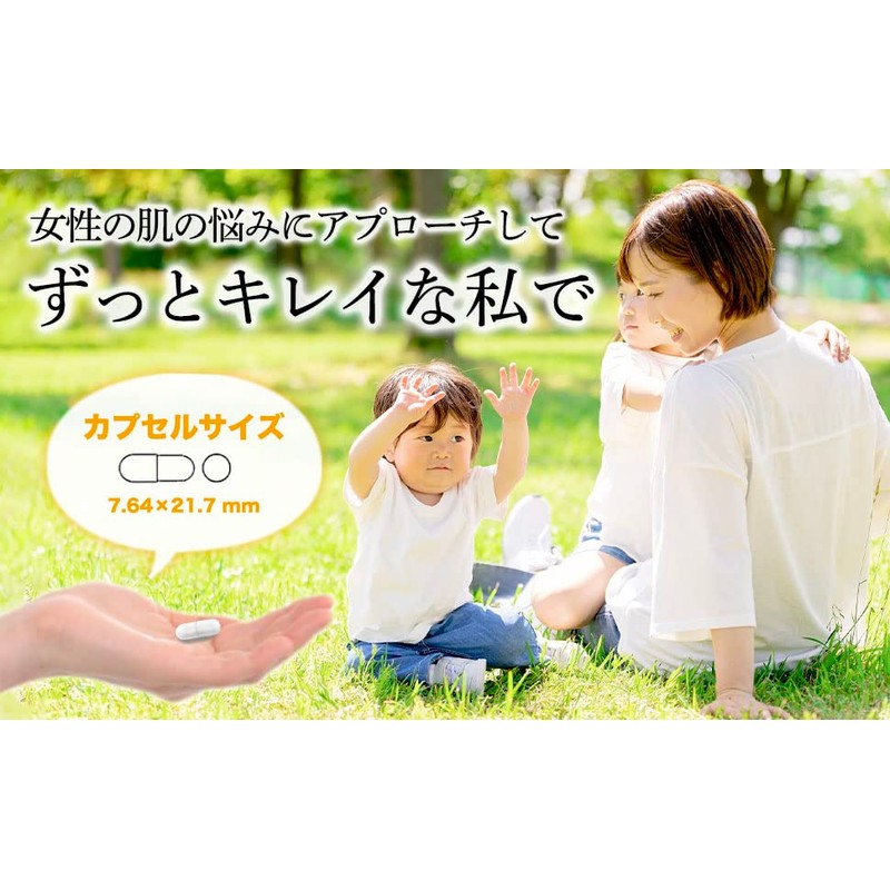 ナイアシンアミド【1粒に高濃度ナイアシンアミドを500mg含有】 30日分 （1粒/日）クリニック用サプリの原材料を使用