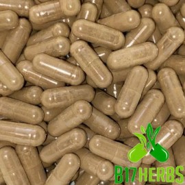 B17 Herbs Argentine Beef Thymus w/Liver Blend - 600mg Grass Fed Gluten Free - 100 Veg Caps