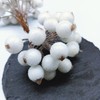 KKSTY 200 Pcs/100 Wired Berries Stems Artificial Frosted Berries Christmas