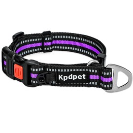 Martingale Dog Collar Reflective Nylon Collar with Quick Release Buckle, Adjustable Walking and Training for No Slip Dog Collar, Purple, M