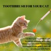 BeoTnp Catnip Toys for Cats, Cat Toys for Indoor Cats,