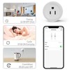 Smart Metering Socket Voice Control Remote Control 10A Direct Connection