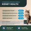 VetriScience Renal Essentials Pro Liquid - Kidney Functions & Maintenance