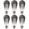 FLSNT LED Edison Bulbs, 5000K White Light Dimmable ST19 LED