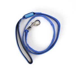 MaisonMaxx LED Dog Leash USB Rechargeable Night Safety & Visible for Your Dog(Neon Blue/5 Feet)