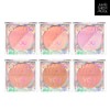 Jung Saem Mool 정샘물 컬러피스 블러쉬 Jung Saem Mool Color