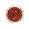 Stargazer Loose Glitter Stars Eyeshadow Makeup Face Body Hair Nails