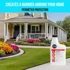 BUGGSLAYER Insecticide - Concentrate - Outdoor Box Elder Bugs, Stink