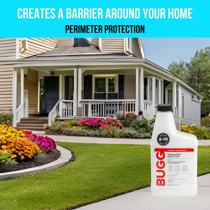 BUGGSLAYER Insecticide - Concentrate - Outdoor Box Elder Bugs, Stink