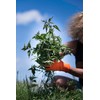 Donkey Gloves | Multipurpose Gloves for Gardening, DIY, House Work,
