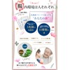 Health & co Lactobacillus Flora 5 Trillion Count 33 Types