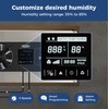 ALORAIR Crawlspace Ventilation Fan, Crawlspace Fan vent with Temperature Humidity