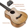 Ranch Tenor Ukulele 26 inch Professional Learn to Play Cutaway