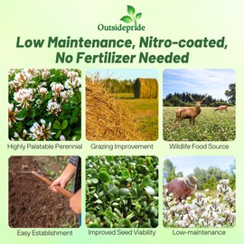 Outsidepride Perennial White Ladino Clover Seed - 5 lbs. Nitrocoated, Inoculated Bulk Clover Seeds, Ideal for Pasture, Forage, Food Plots & Wildlife Ground Cover for Continuous & Rotational Grazing