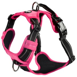 Bobby Rando Walk Dog Harness, Dog Harness, Medium Small Large Nylon Dog Harness, Safe, Comfortable, Reflective, Adjustable, Fuchsia, S/32-48x1.6CM