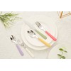 ANNOVA Silverware Set 20 Pieces Stainless Steel Cutlery Color Handle