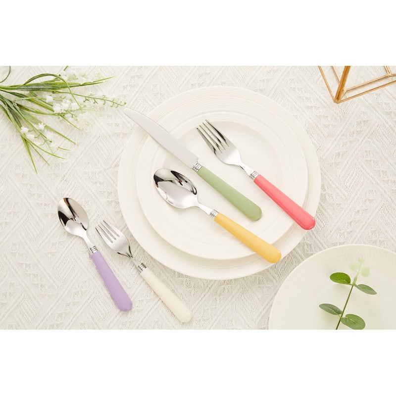 ANNOVA Silverware Set 20 Pieces Stainless Steel Cutlery Color Handle