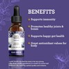GuruNanda Black Seed Oil, Cold-Pressed Nigella Sativa - Rich in
