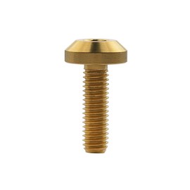 Ruifu Hex Socket Head Cap Screws, Titanium Alloy, Available in M6 x 12/15/20/25/30/35 mm, M8 x 15/20/25/30/35/40 mm, For Bicycles & Motorcycles, Wheels, License Plate Mounting Bolts, Set of 5 (M6 x 15 mm, Gold)
