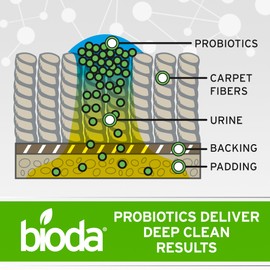 Bioda Pet Stain and Odor Eliminator | Pet Urine Enzyme Cleaner | Stain Remover | Urine Odor Eliminator | Carpet & Couch Cleaner | Made in USA | 1 Gallon