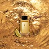 Banderas Perfumes - The Secret Absolu - Eau de Parfum
