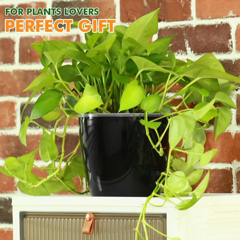 Planterhoma 5/6.7 Inch Self Watering Pots for Indoor Plants, 8