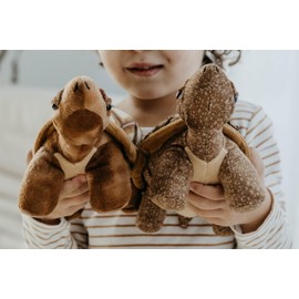 The Petting Zoo Tortoise Stuffed Animal Plushie, Gifts for Kids, Wild Onez Farm Animals, Tortoise Plush Toy 9 Inches