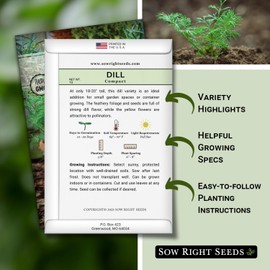 Sow Right Seeds - Compact Dill Seeds for Planting - Non-GMO Heirloom Packet with Instructions to Grow an Outdoor or Indoor Herb Garden - Great for Pickling - The Perfect Patio & Container Size (1)