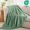 RUIKASI Fleece Throw Blanket for Sofa - Green Single Fluffy