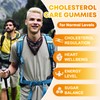 Cholesterol Supplements Gummies, Support Healthy Cholesterol Levels with 1200mg Plant