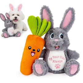 BluPup Squeaky Dog Toys for Small Dogs, 2 Pack Crinkle Plush Puppy Toys, Lightweight Bunny and Carrot Toy Set for Toss, Fetch, Carry, Cuddle and Indoor Play