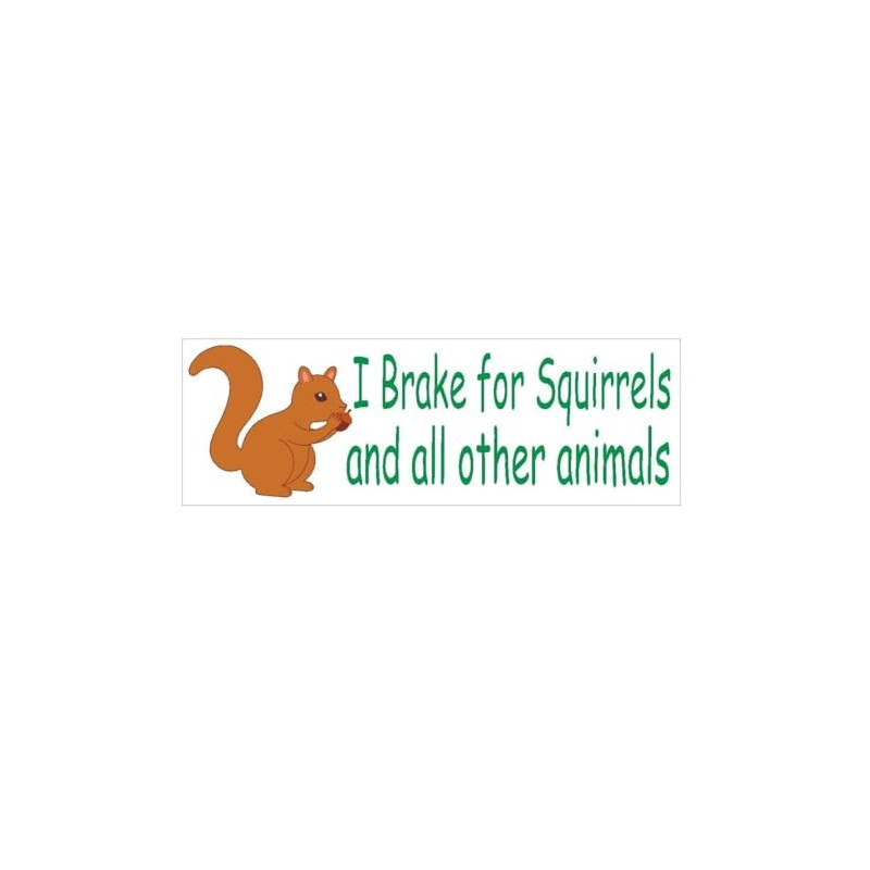 Generic I Brake for Squirrels Bumper Sticker D410 Animal Rights