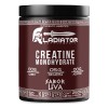Creatina Suplemento Monohidratada Gladiator 250g Sabores Uva