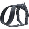HUNTER LONDON Comfort Harness, S-M/1