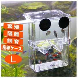 PANASONN Egg Spawning Case, Isolating Case, Multi-functional, Fish Breeding Isolation Box, Medallion Spawning, Aquarium, Hatching, Spawning Box, Aquarium Accessories, 5.3 x 4.1 x 3.0 inches (13.5 x