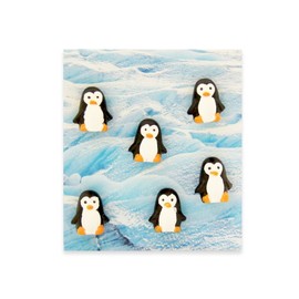 Trendform Animal Style Office Magnets - Penguin - Pack of 6
