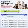 LED Dog Collar, Light Up Dog Collar USB Rechargeable, Brightest